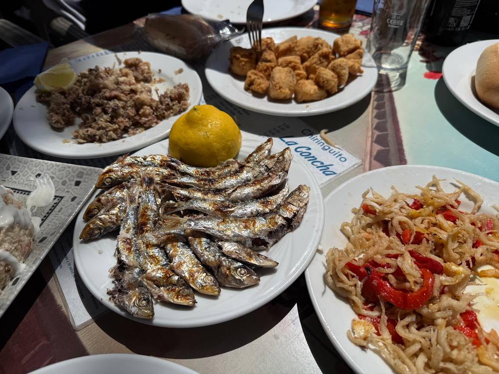 Chiringuito La Concha - Sabores del Mediterráneo Málaga