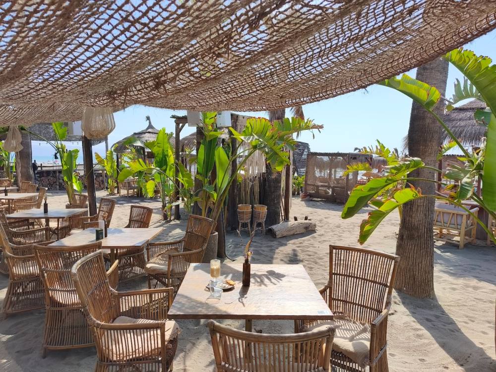 La Palapa Beach Jazba
