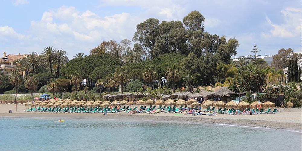 Pedro's Beach