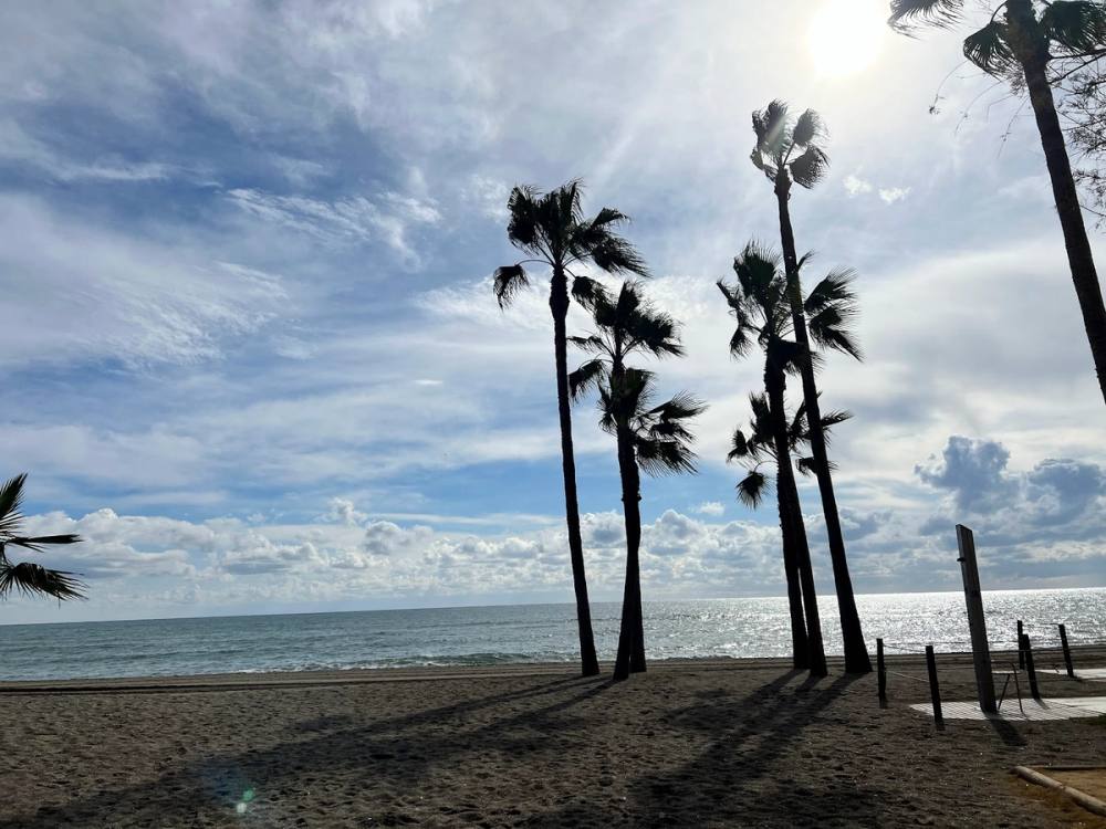 In the Beach