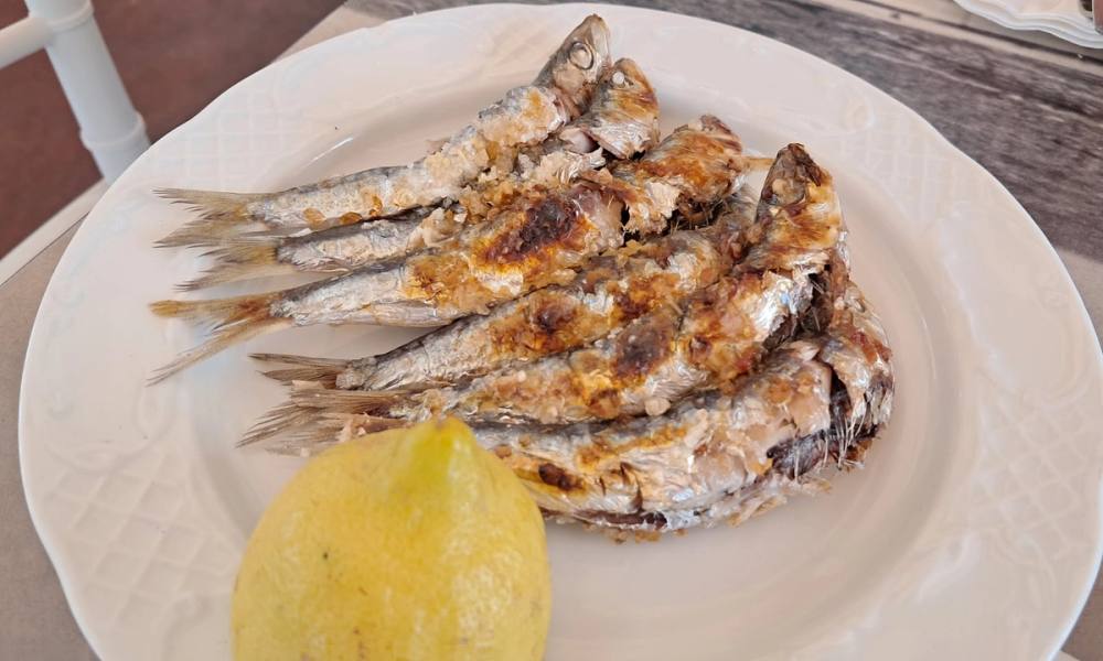 Chiringuito La Concha - Sabores del Mediterráneo Málaga