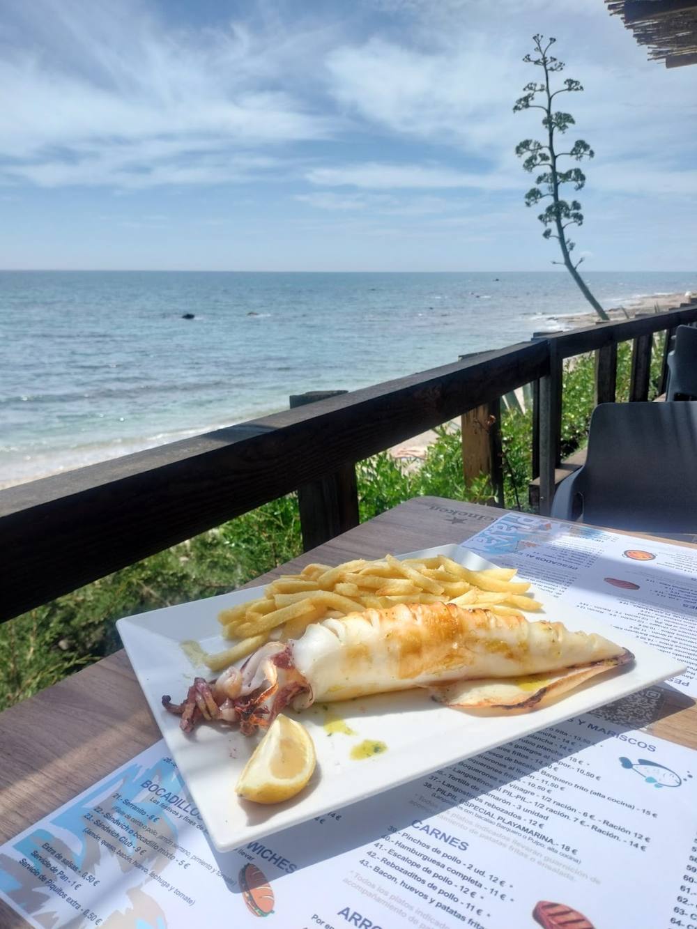 Chiringuito Playa Marina