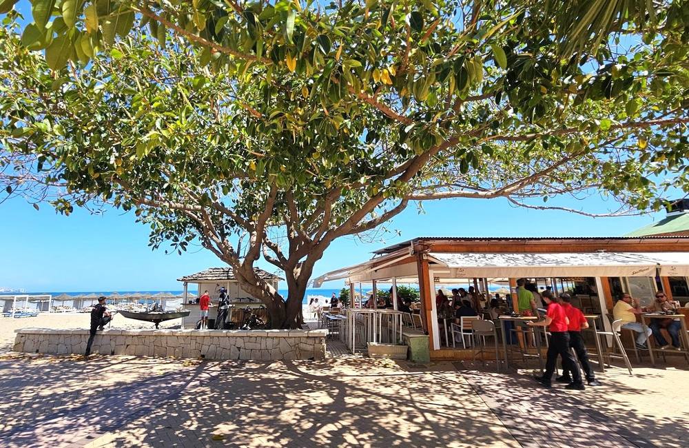 Chiringuito El Palmar