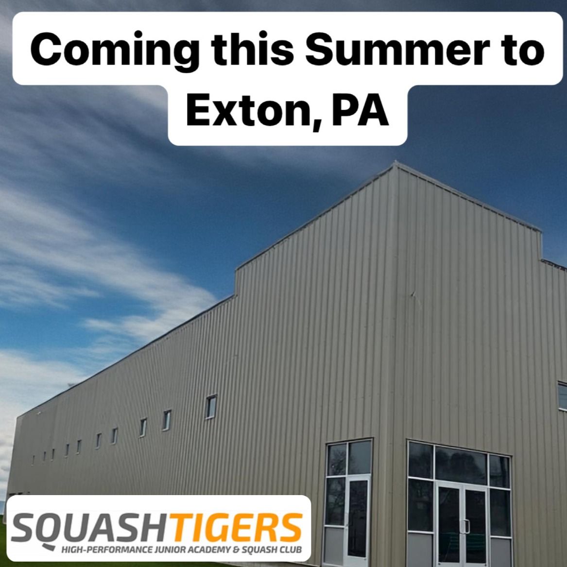 Squash Tigers Announcement