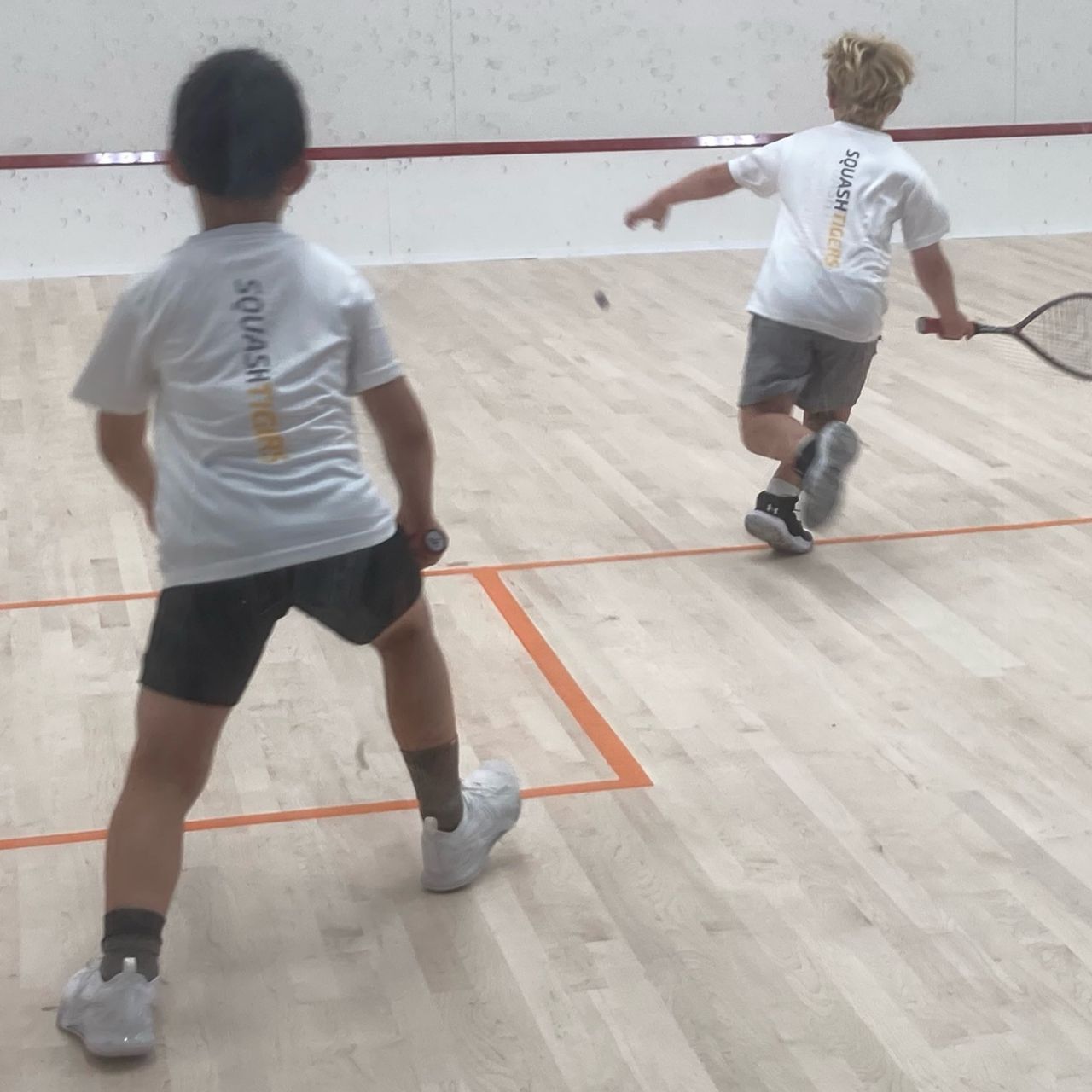 SQUASHTIGERS NEWSFLASH!