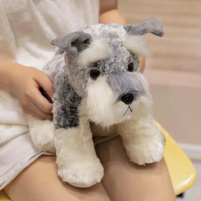 perro znauser