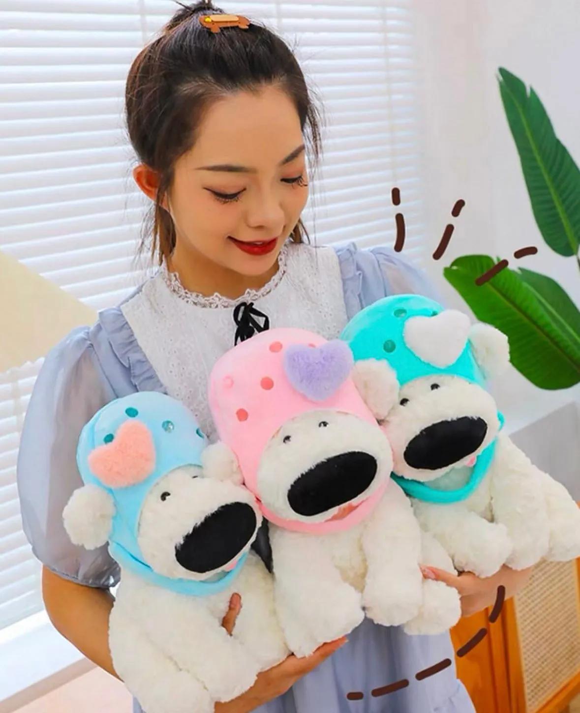 perro gorro