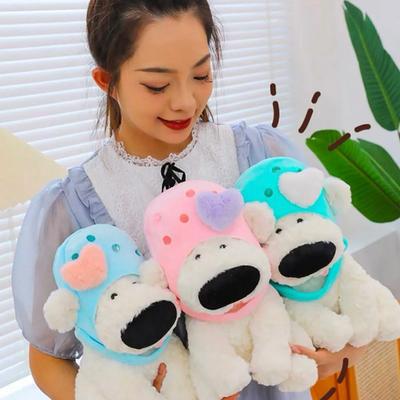 perro gorro 