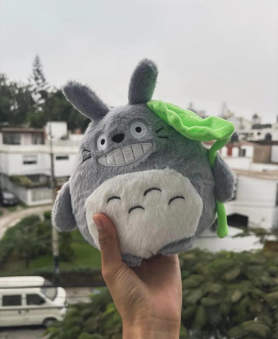 totoro hoja 