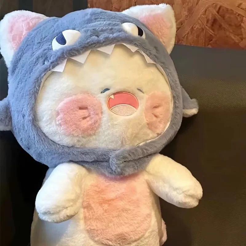 gato gorro 