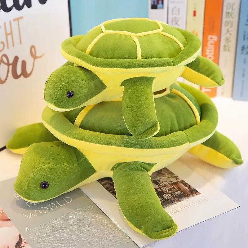 tortuga