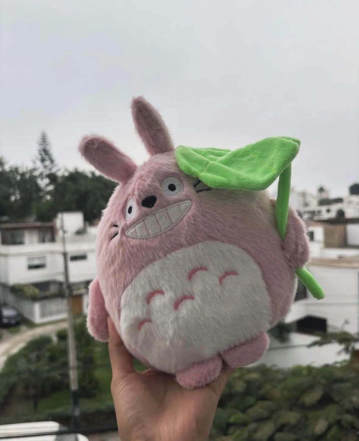 totoro hoja