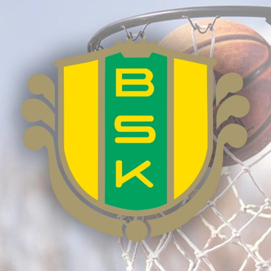 Samarbete Lärande grundskola Fresta med Bollstanäs basket