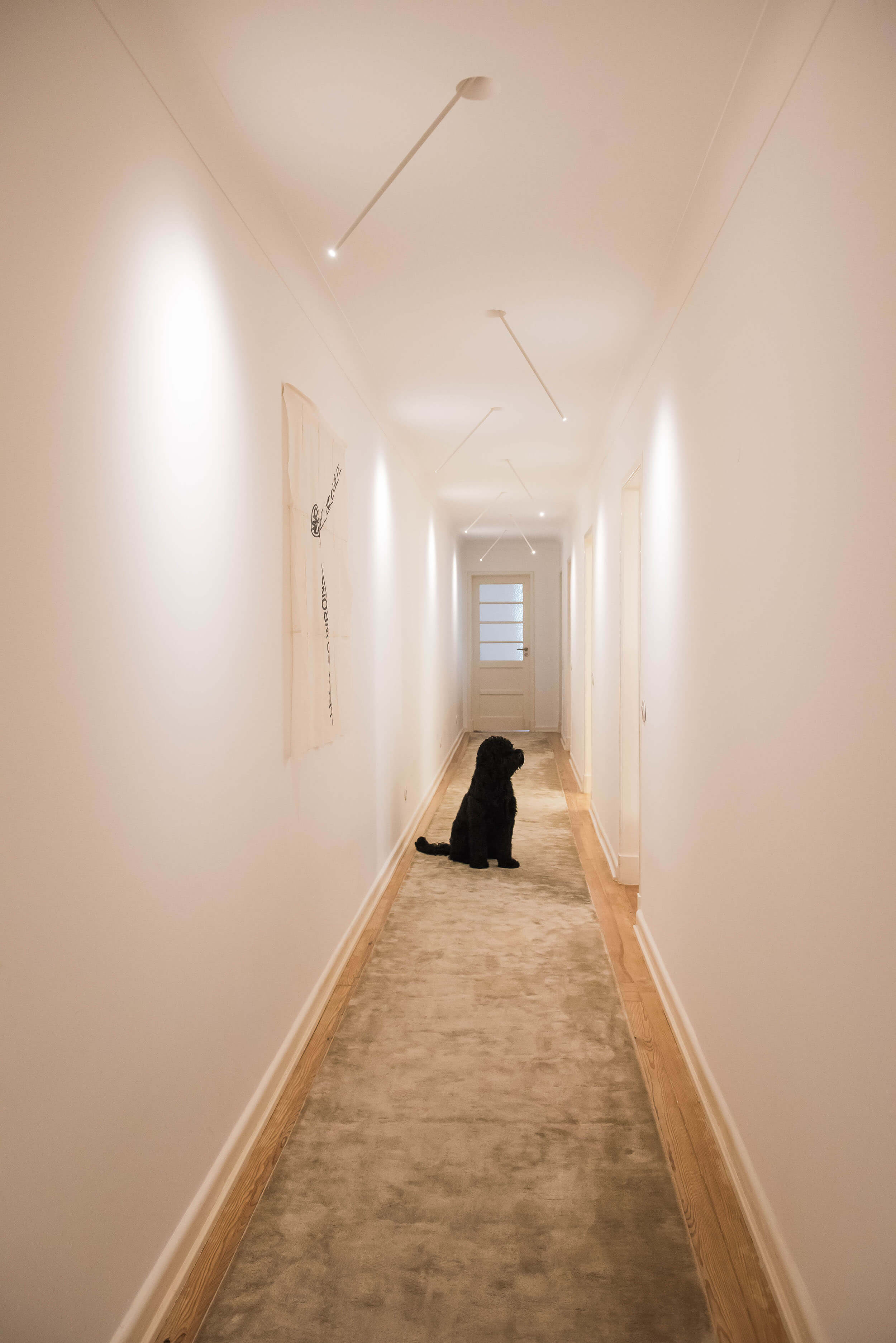 Corredor com focos de calha VESOI, tapete bege e cão preto ao fundo — design de interiores de luxo, Avenidas Novas, Lisboa, Atelier Renata Santos Machado