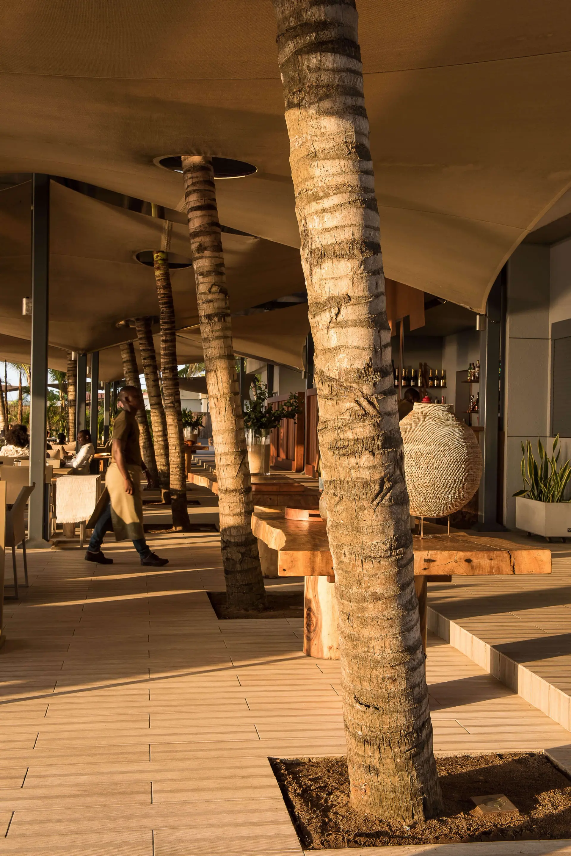 Restaurante coberto com palmeiras a atravessar a cobertura — design de interiores de restaurante de luxo Luanda, Angola