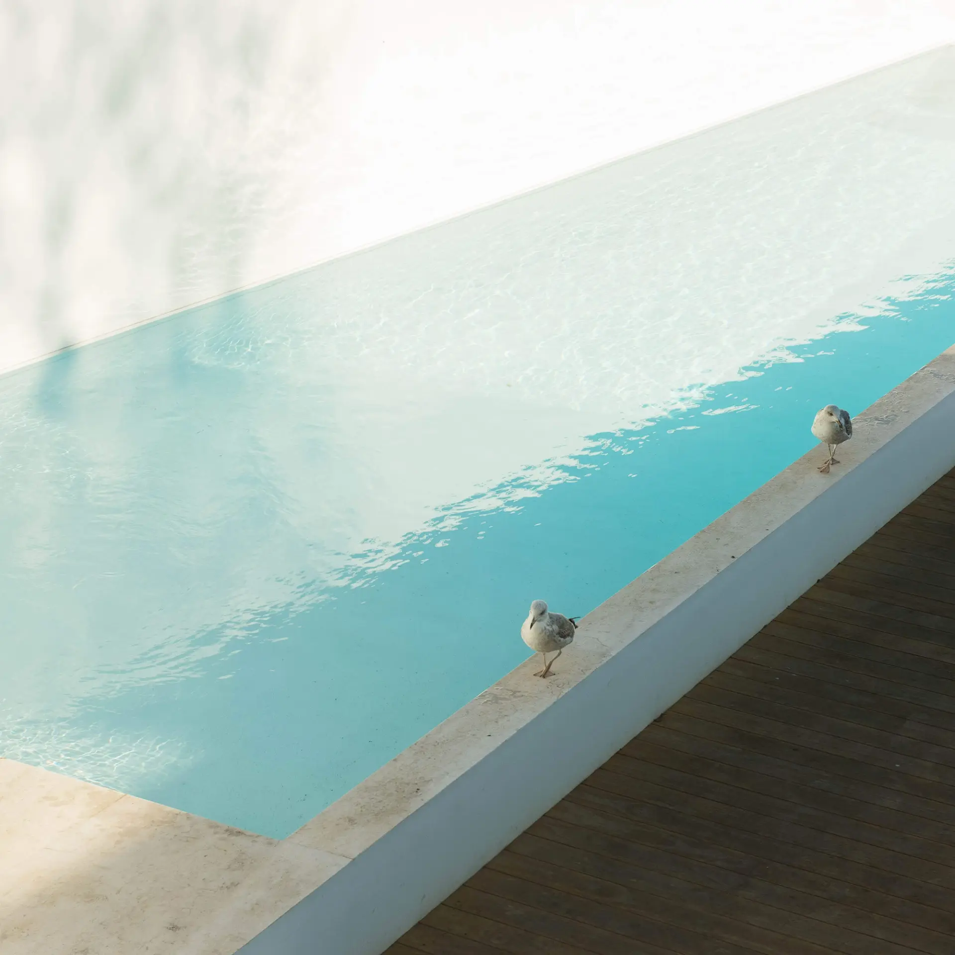 Piscina exterior do Palácio Santiago com rebordo em pedra e gaivotas sobre água turquesa — design de interiores de luxo, Lisboa, Atelier Renata Santos Machado