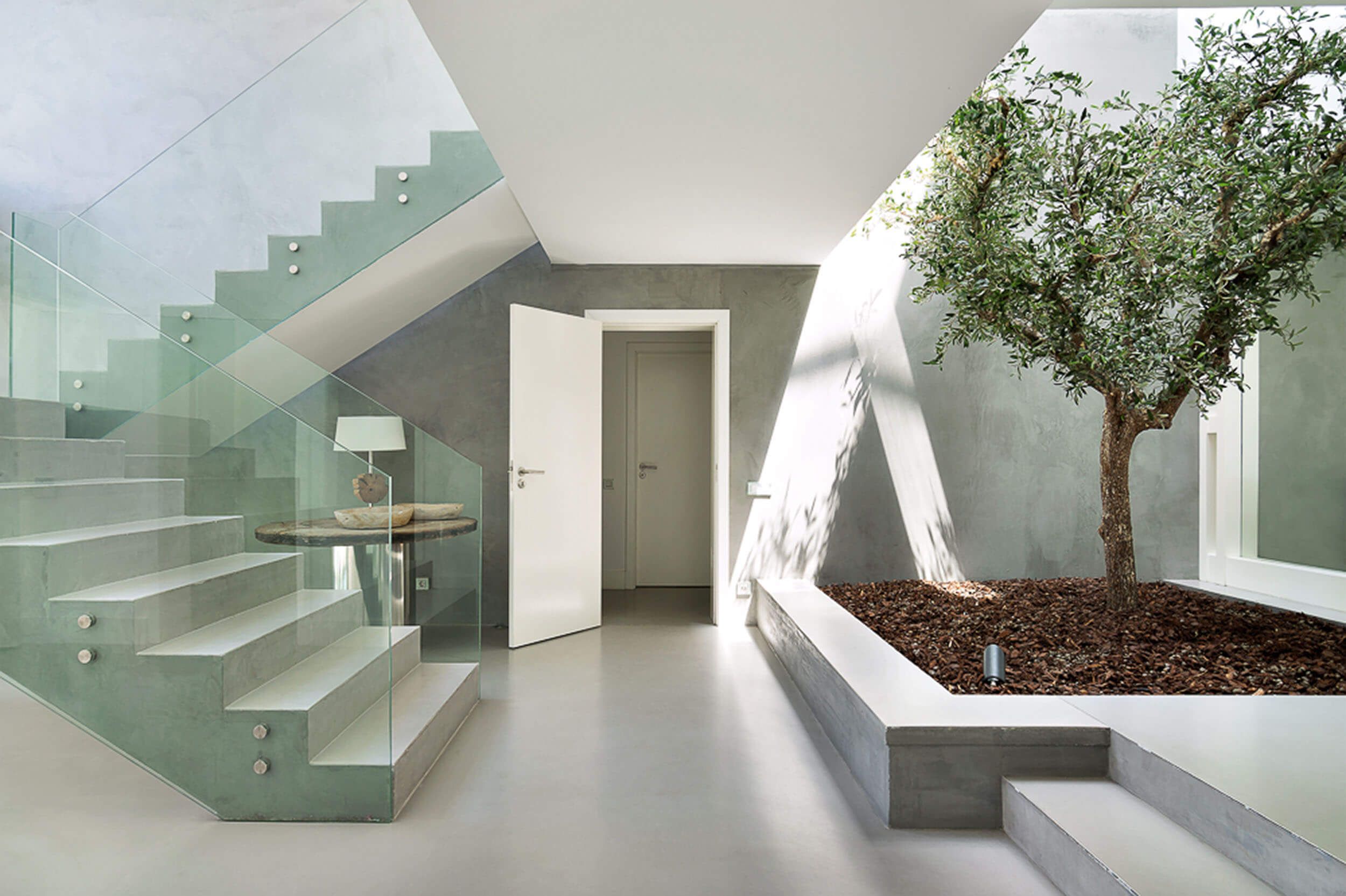 Hall com escada em betão, guarda em vidro e oliveira interior em canteiro — design de interiores de luxo Tróia, Setúbal