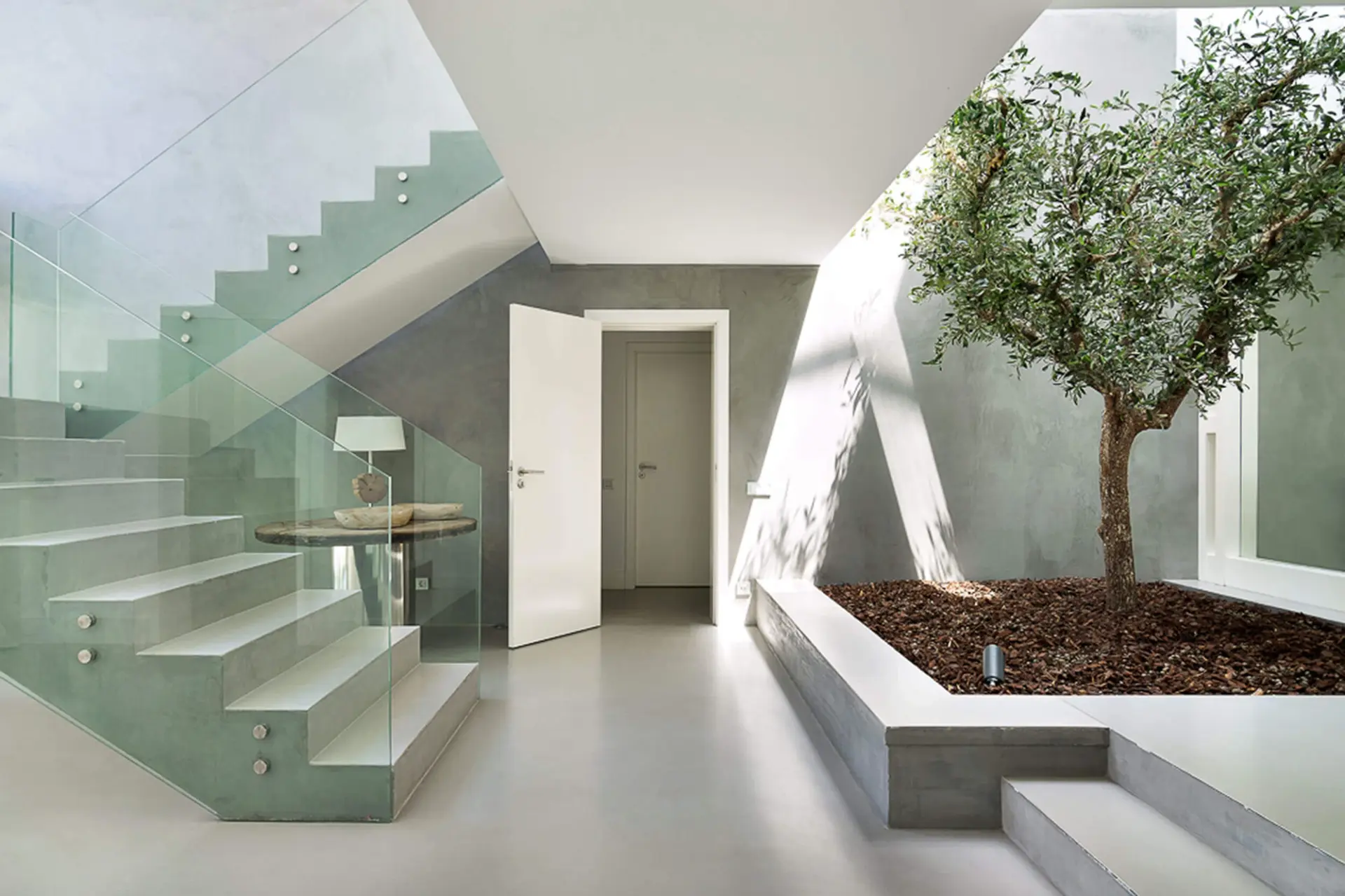 Glass-balustrade staircase, microcement flooring and an olive tree in a concrete planter — luxury entrance hall
