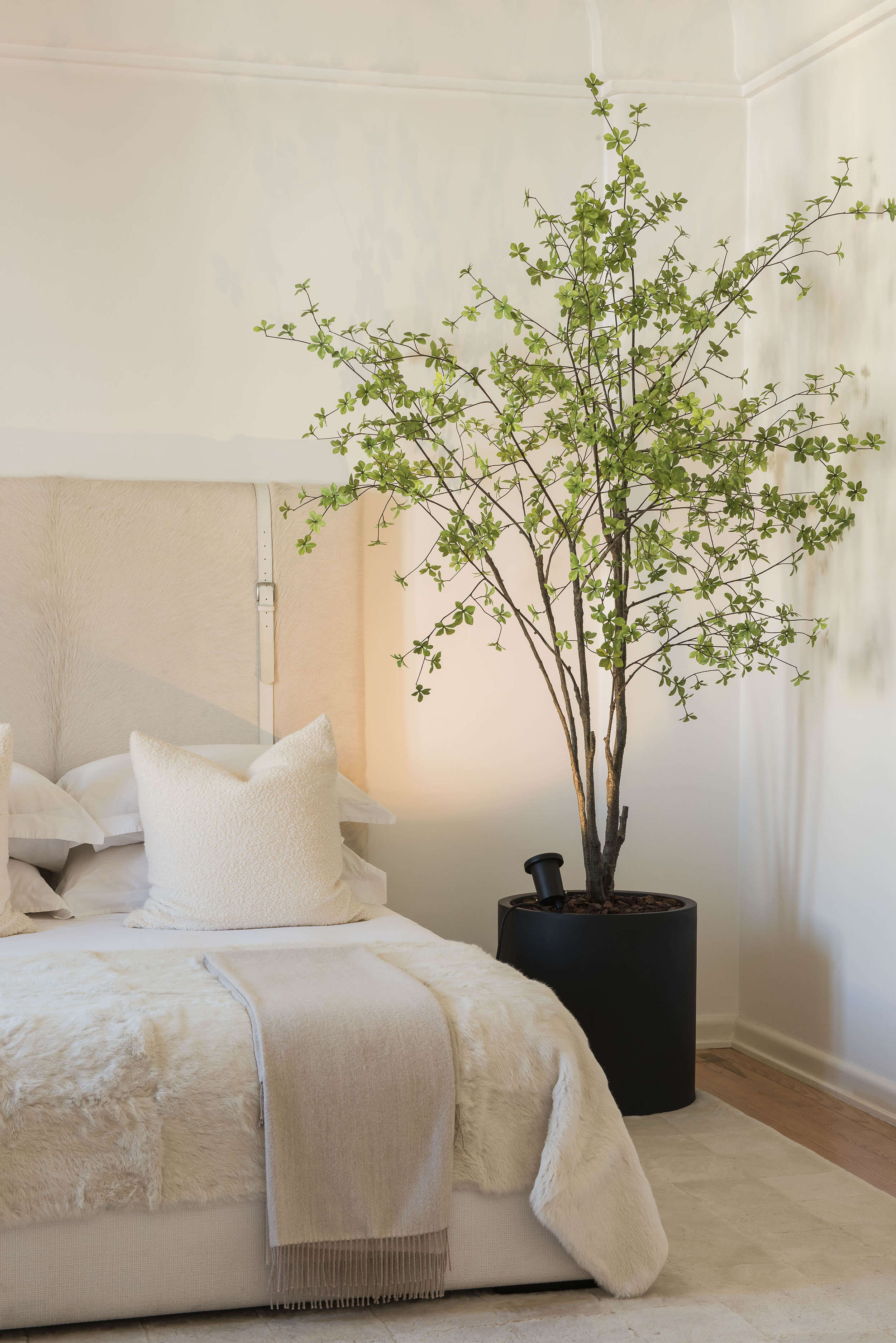 Master suite com árvore interior em vaso Pottery Pots, cabeceira em linho e roupa de cama creme — design de interiores de luxo, Avenidas Novas, Atelier Renata Santos Machado