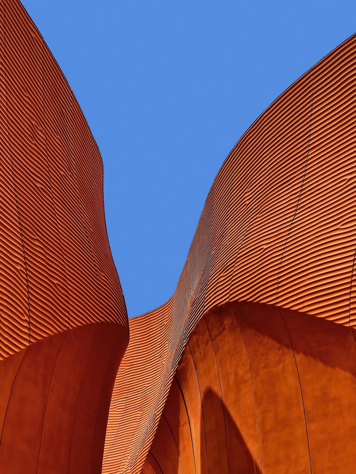 Desarrolladoras locales