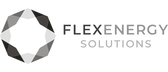 Flex Energy