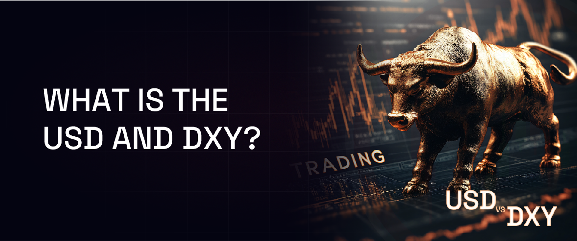 What is the USD and DXY?