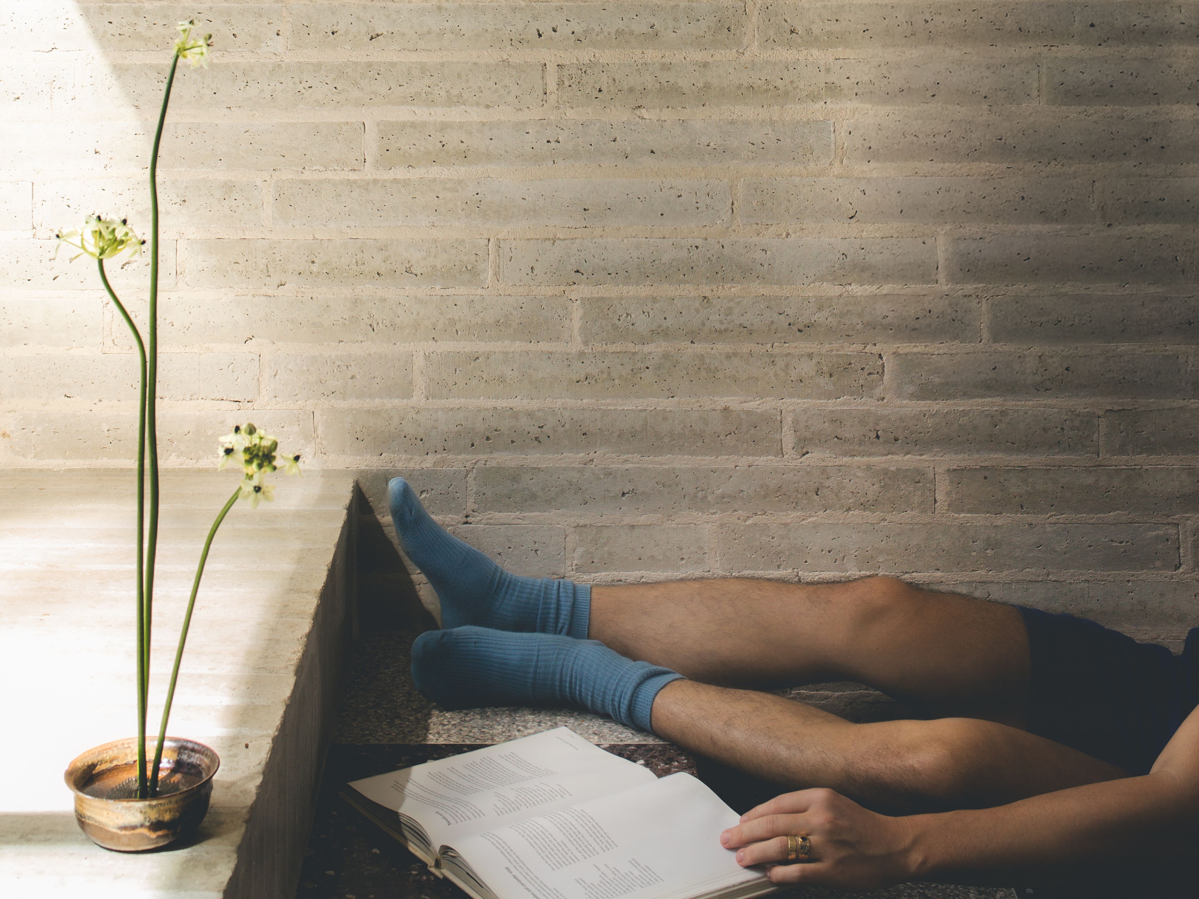 Visual media content