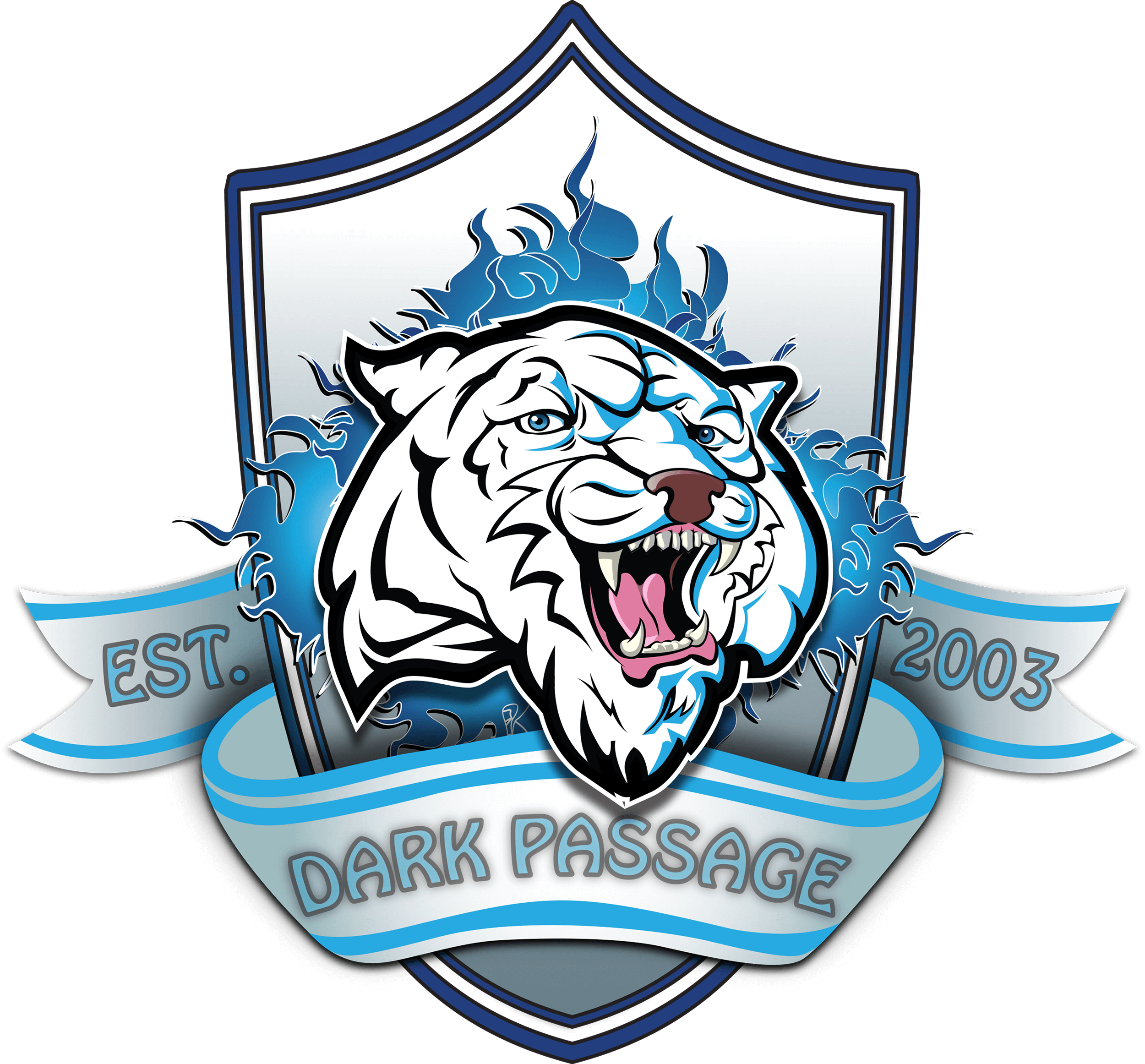 Dark Passage Esports