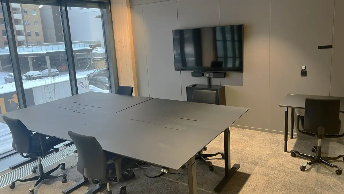 Dr. Hansteins gate 13, Drammen - workspace