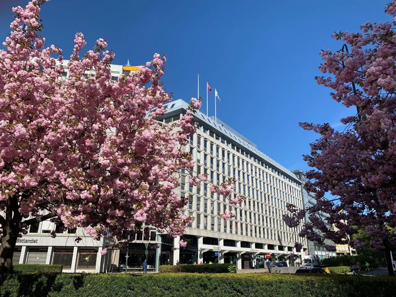 Eksklusive kontorløsninger for 2–8 personer med fleksibilitet - Haakon VIIs gate 2, Oslo