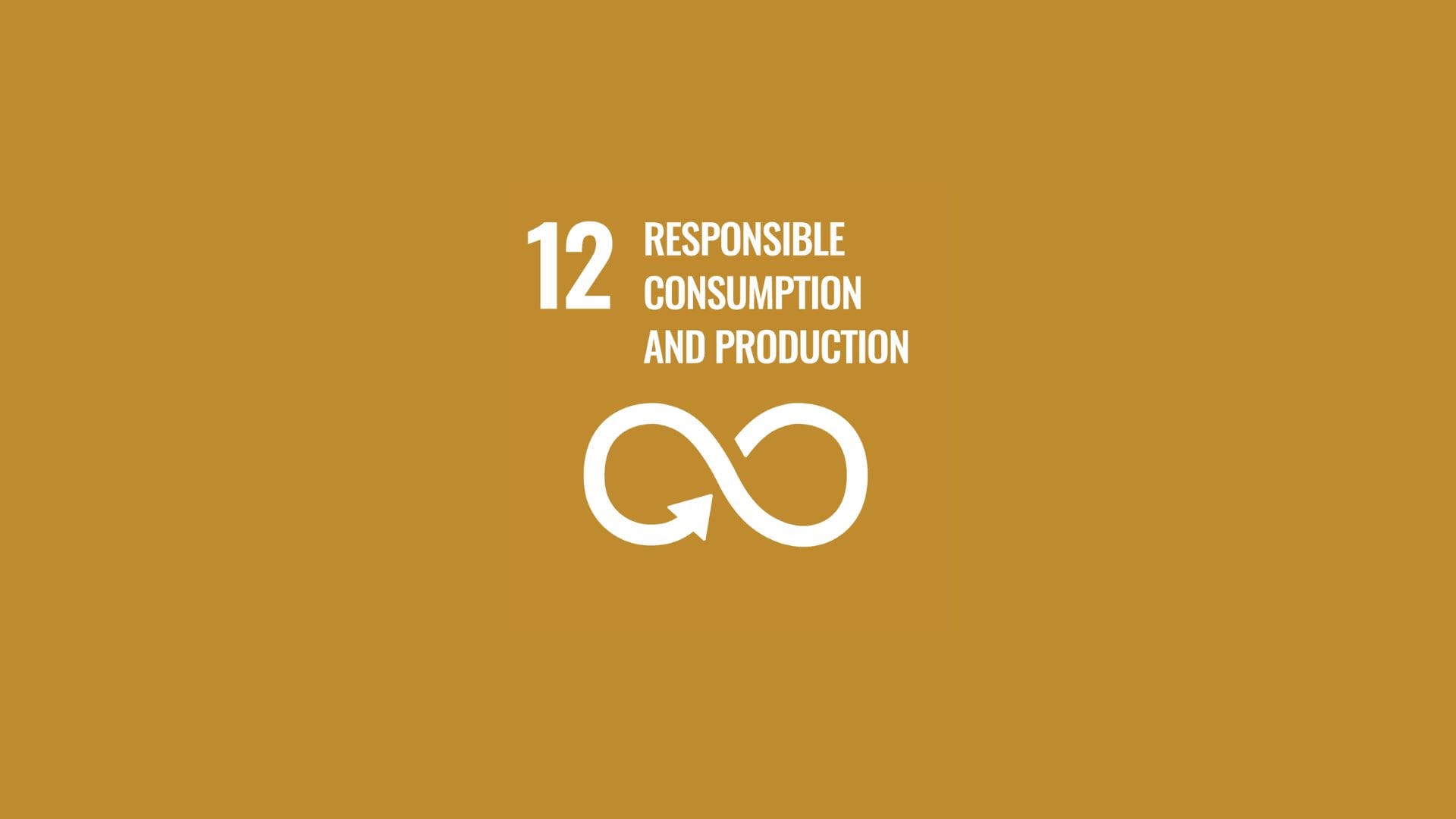 Responsible consumption and production