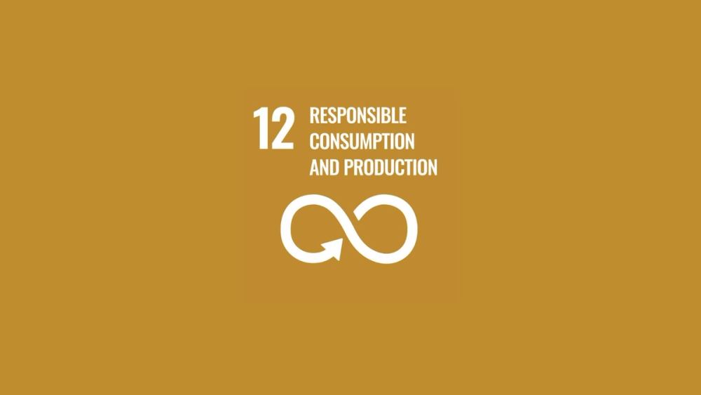 Responsible consumption and production