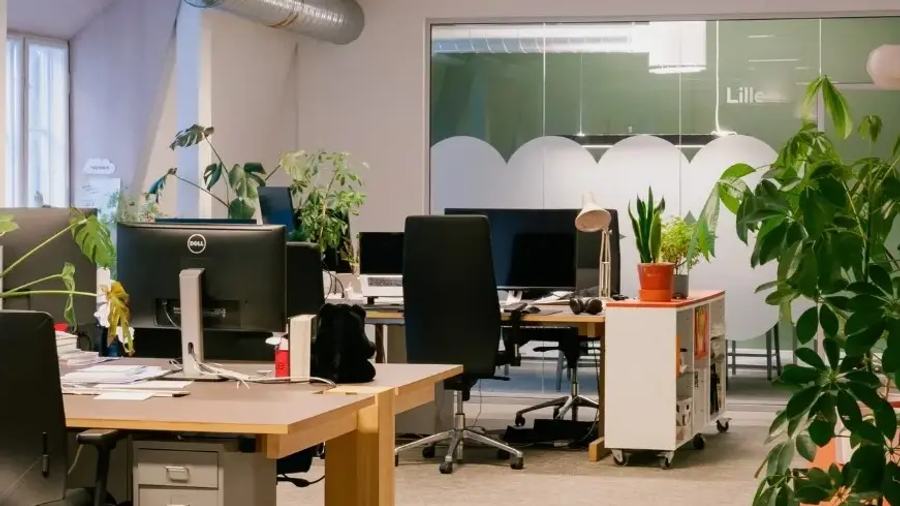 Office space at Grünerløkka for up to 32 employees