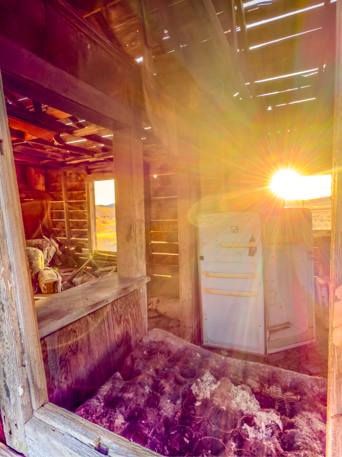 The interior of an abandoned homestead in the Great Basin region of central Nevada