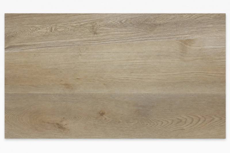 Velocity SPC VSPC-002 vinyl plank sample