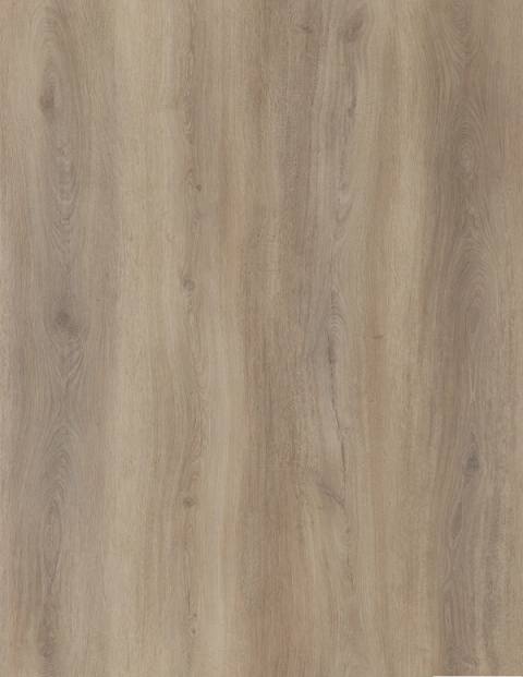 Camelot vinyl plank close-up, Step on Floors Mystique