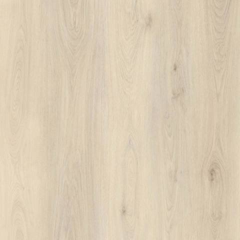 Arena vinyl plank close-up, Step on Floors Earth