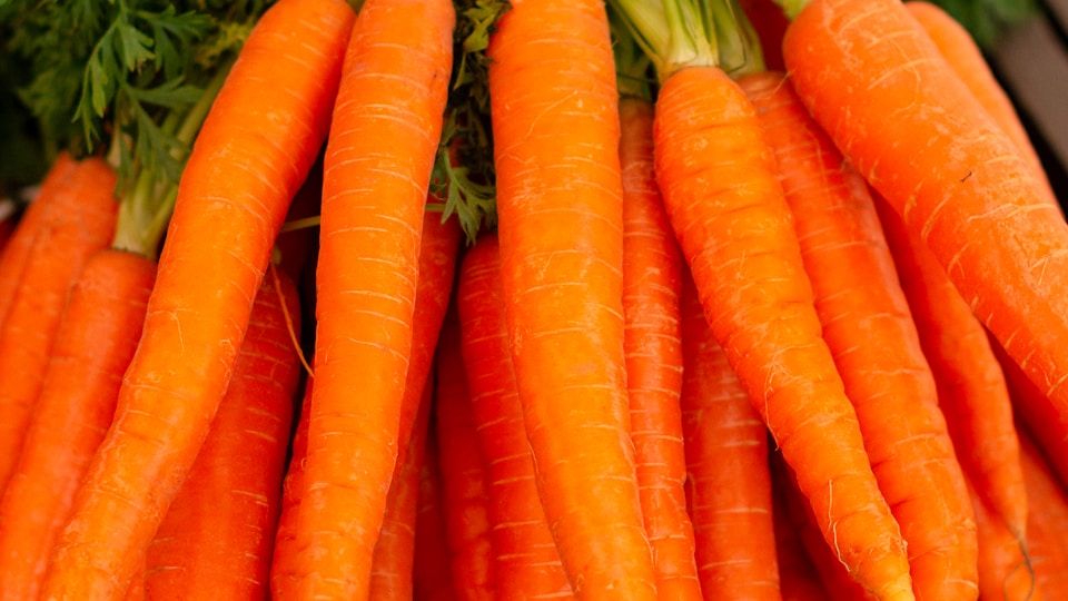 Drying and Preserving Herbs From Your Garden