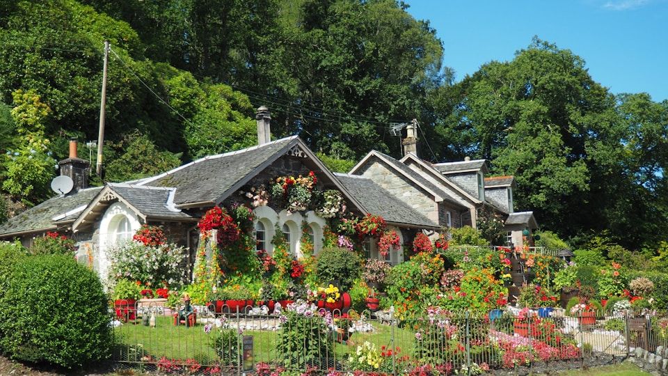 Natural Pest Control: Keep Your Garden Healthy Without Chemicals