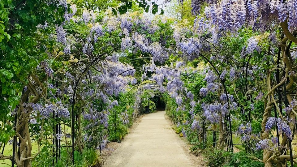 How to Design a Cottage Garden From Scratch