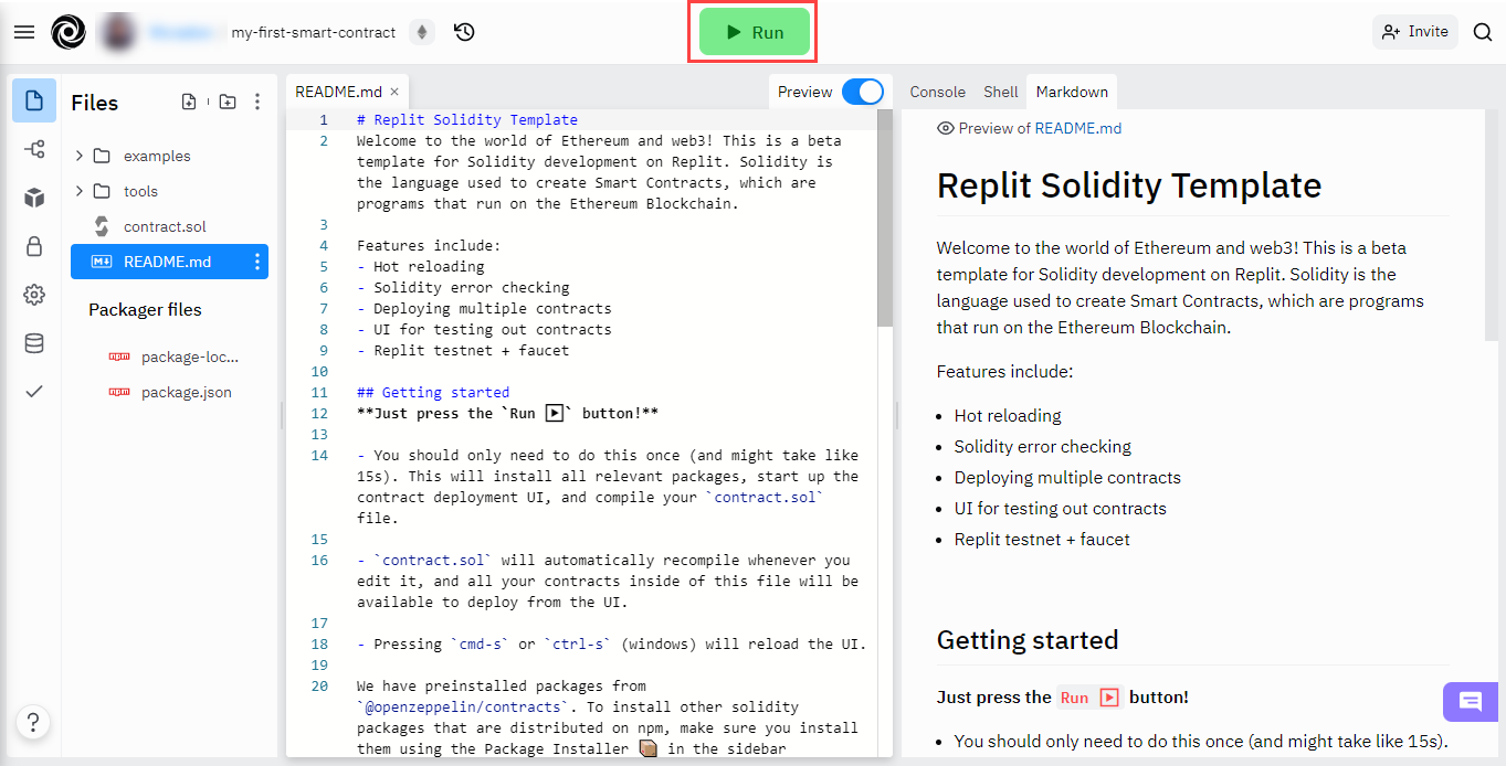 Repl interface before run