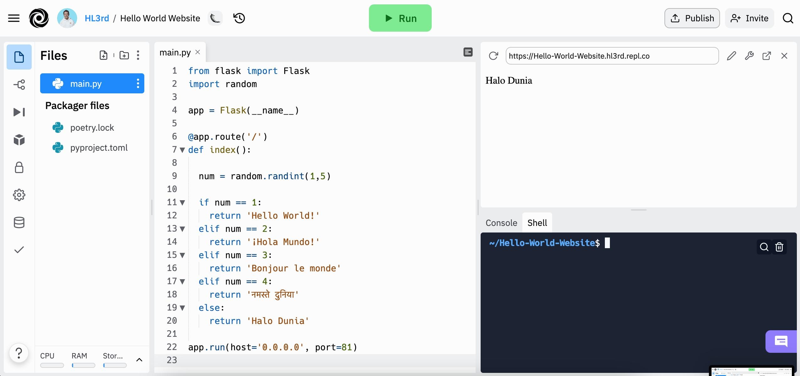 Img 1 - finished Repl