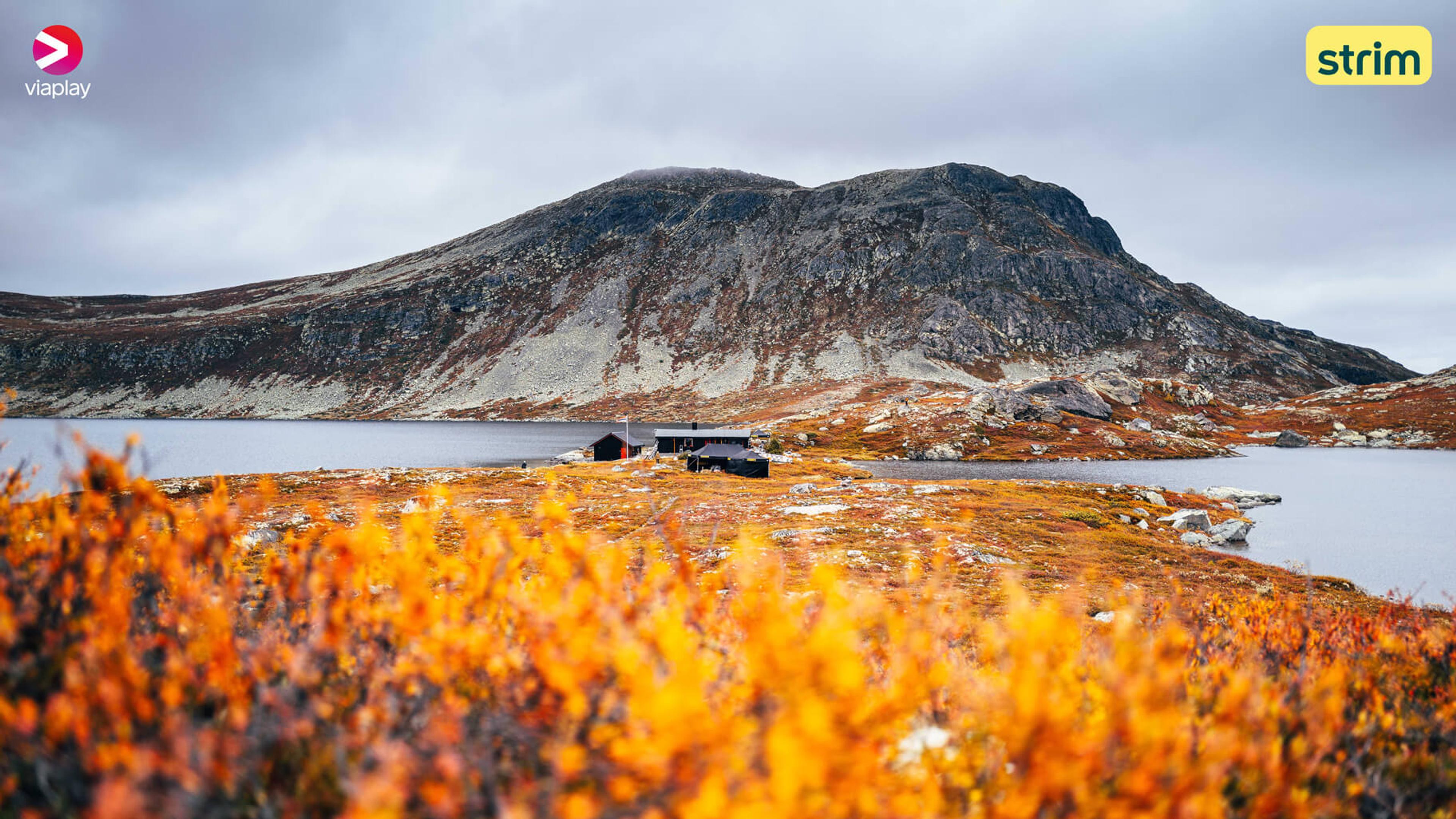 Bilde av fantastisk norsk natur rundt settet for sesongens siste episode av Eventyrlig Oppussing.