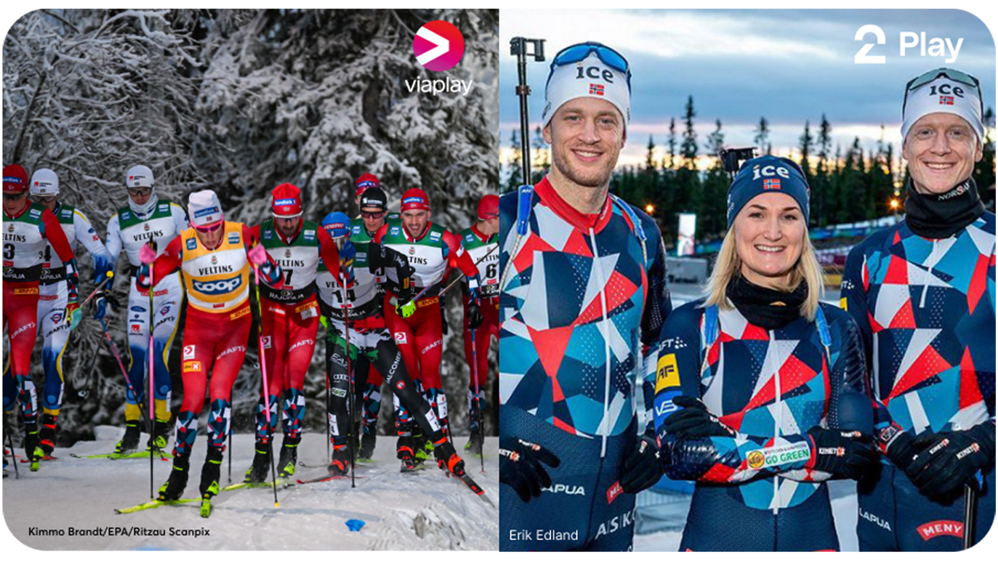 Collage av langrennsløpere i skogen og norske skiskytere.