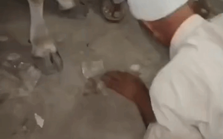 गुना के जामनेर में गाय को पैर मारने पर गरमाया मामला, बुजुर्ग से माफी मंगवाने का वीडियो वायरल