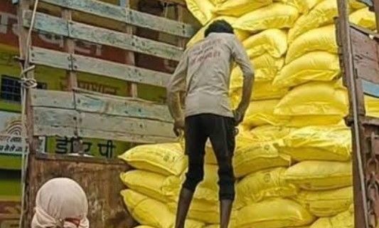 भिंड में उर्वरक बिक्री पर रोक से किसानों की बढ़ी चिंता, धान की फसल पर संकट के बादल
