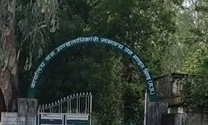 भिंड में वन एसडीओ के खिलाफ शिकायत के पंद्रह दिन बाद भी जांच का अता-पता नहीं