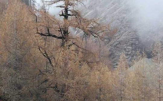 ग्वालियर किले की एक मिनट की सैर