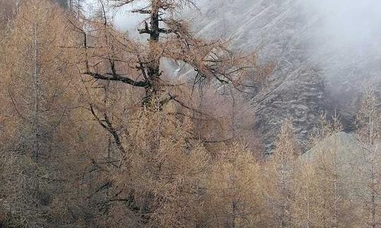ग्वालियर किले की एक मिनट की सैर