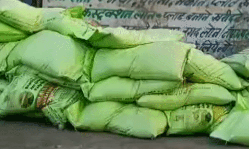 मुरैना में नकली डीएपी खाद का भंडाफोड़: राख और मिट्टी से भर रहे थे बोरियां, 500 कट्टे जब्त